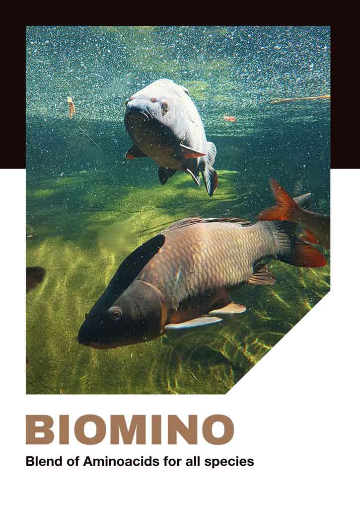 BIOMINO