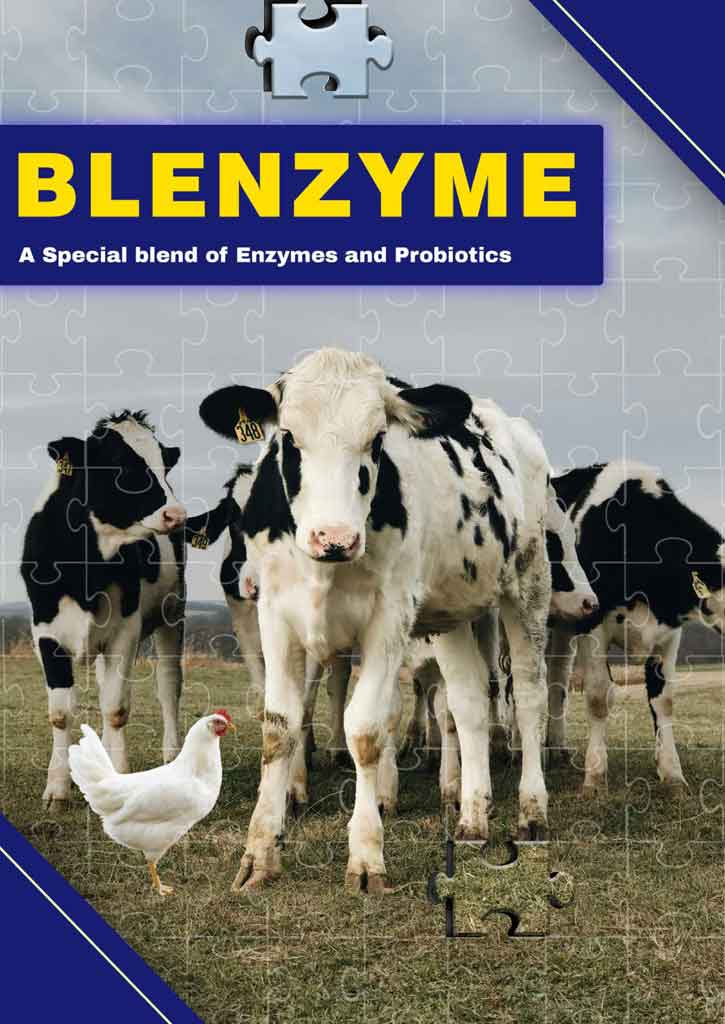 BLENZYME