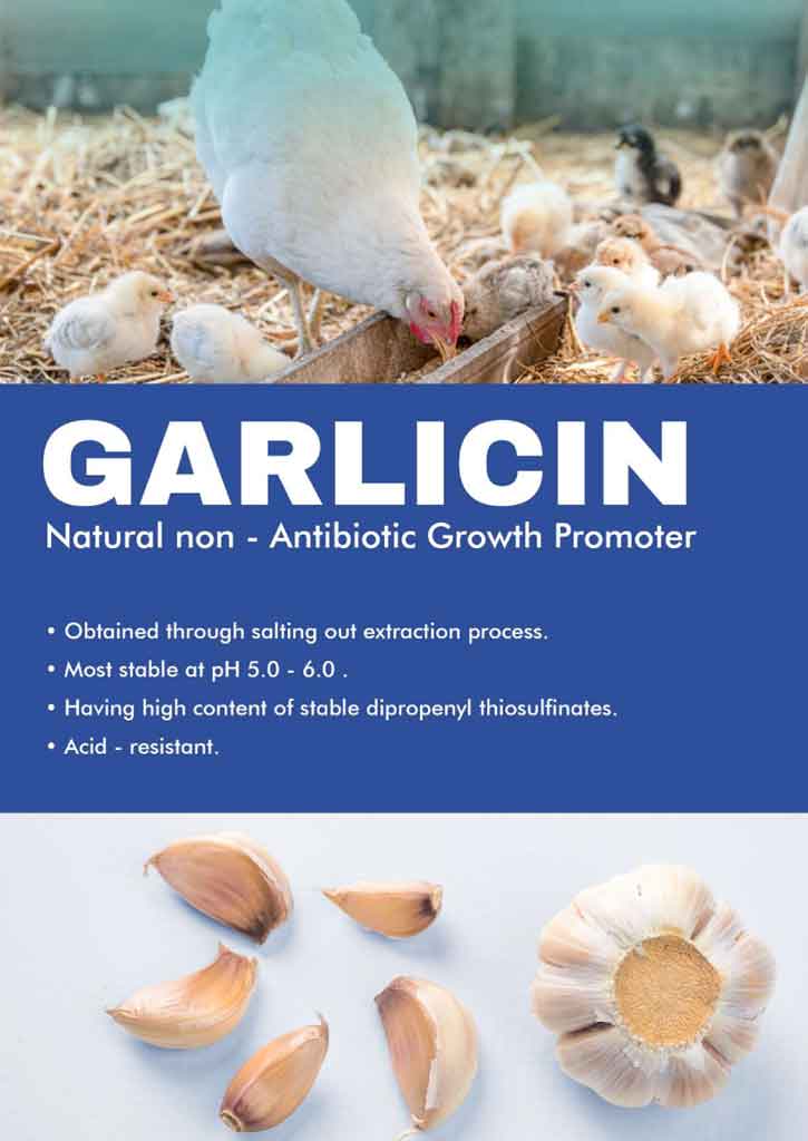 GARLICIN