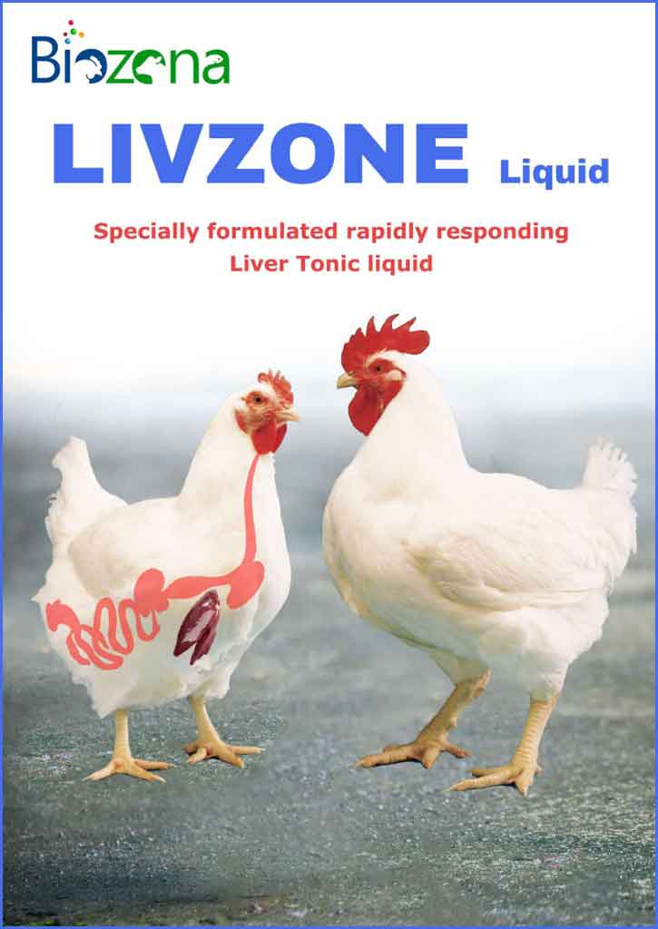 LIVZONE LIQUID