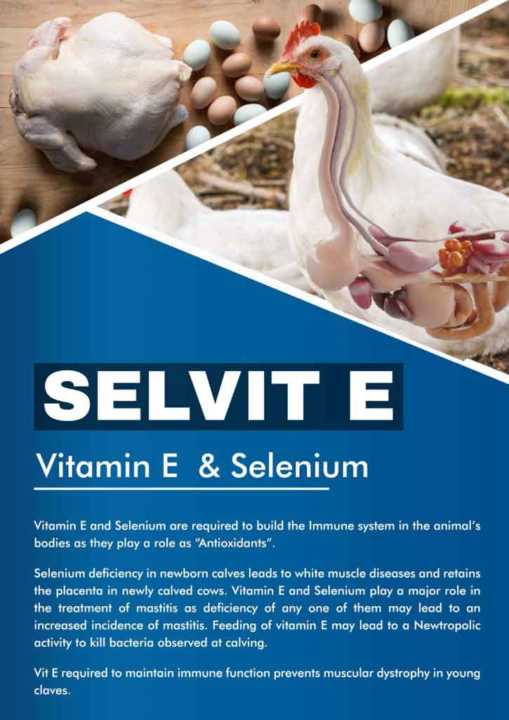 SELVIT E