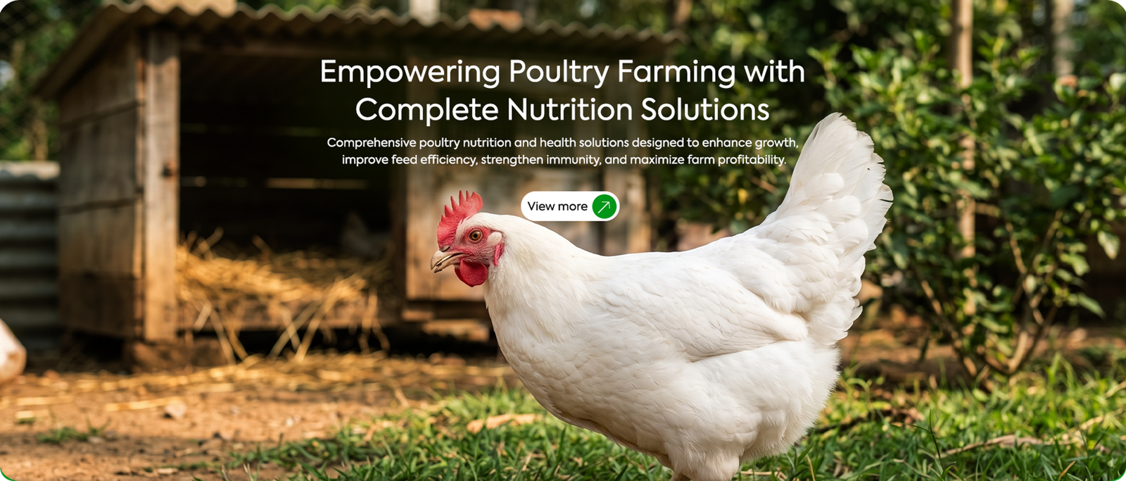 SaaS Feature Banner Two
